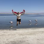  Laguna ChaxaAtacma, Chile